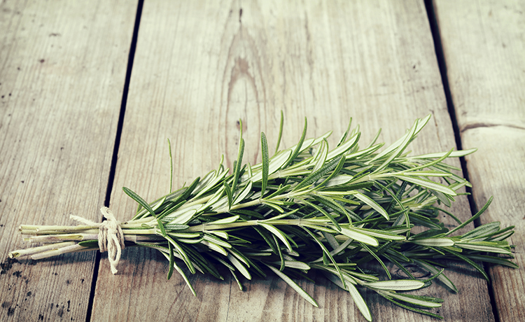 banhos de descarrego com Alecrim