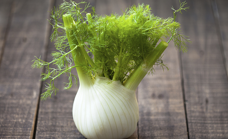 banhos de descarrego com Funcho