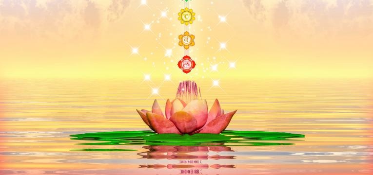 celebridades que praticam reiki celebridades que praticam reiki