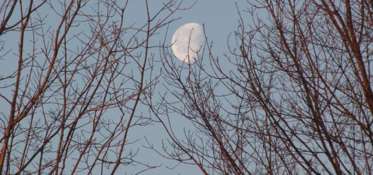 lua-minguante Lua Minguante em 2018