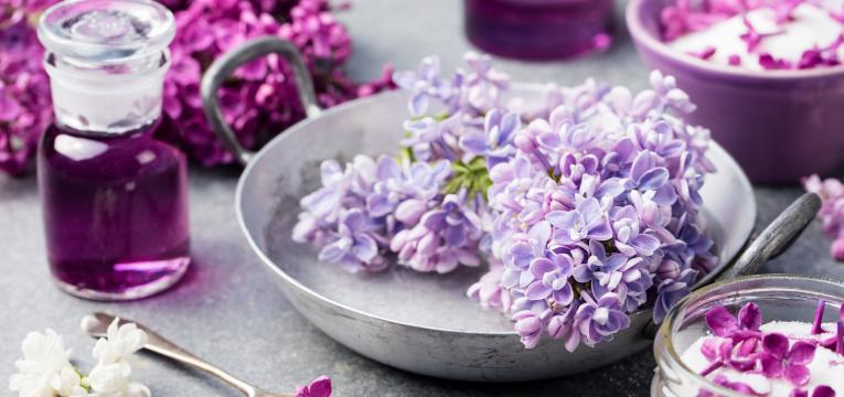 florais para tratar alcoolismo florais para tratar alcoolismo