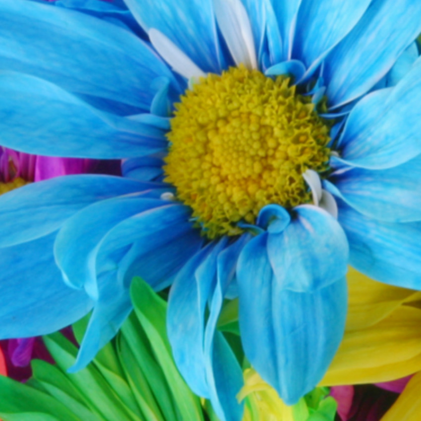 Significado das cores – Azul