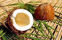 Teste de Personalidade das Frutas: Coco Teste de Personalidade das Frutas: Coco
