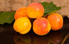 Frutas ciganas - Damasco