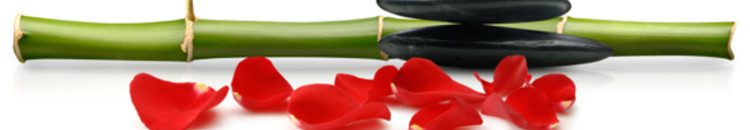 Glossário do Feng Shui Glossário do Feng Shui