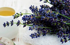 óleos essenciais para a pele: Lavanda