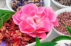 óleos essenciais para a pele: Sândalo