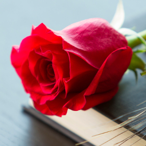 Incenso de Rosas
