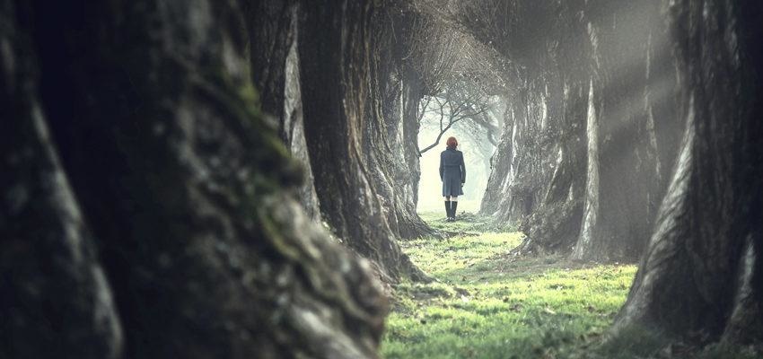 Resultado de imagem para 10 DOENÃAS ESPIRITUALMENTE TRANSMISSÃVEIS