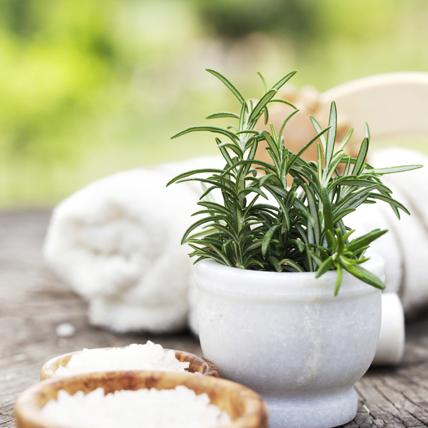 Alecrim para banho: aprenda um banho de alecrim para viver sem pressas