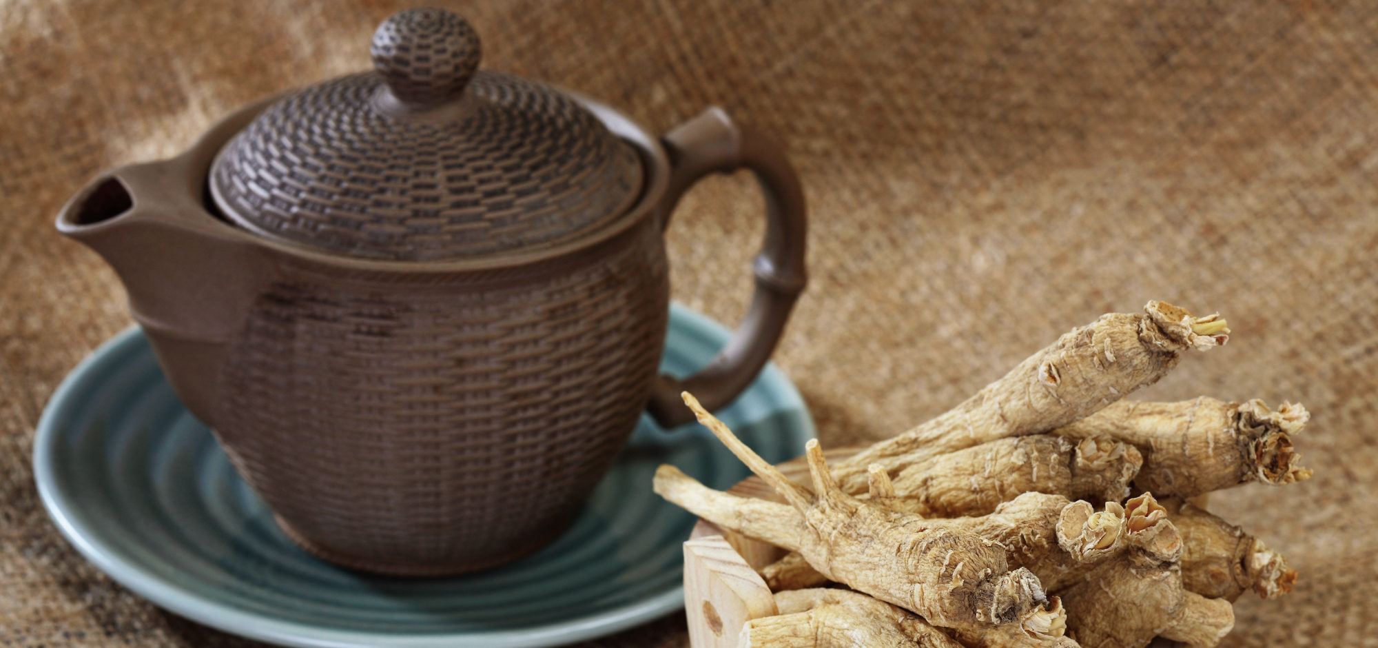 Conheça o poder do chá de ginseng WeMystic Brasil
