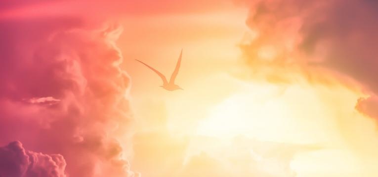 garrafinha de limpeza espiritual