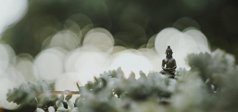 óleos essenciais e chakras: aromaterapia para harmonizar os chakras óleos essenciais e chakras: aromaterapia para harmonizar os chakras