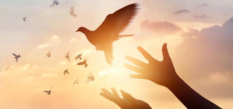 vampiros energéticos