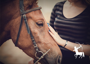 Animal de - sagitario