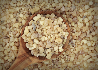 óleos essenciais: Olíbano