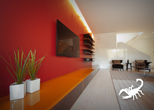 decoracao - escorpiao