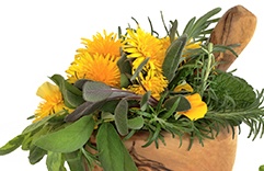 Terapia floral para tratar tristeza: Gorse