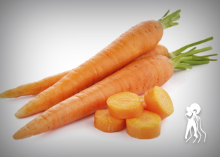 ingredientes - aquario