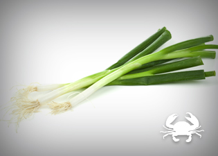 ingredientes - cancer