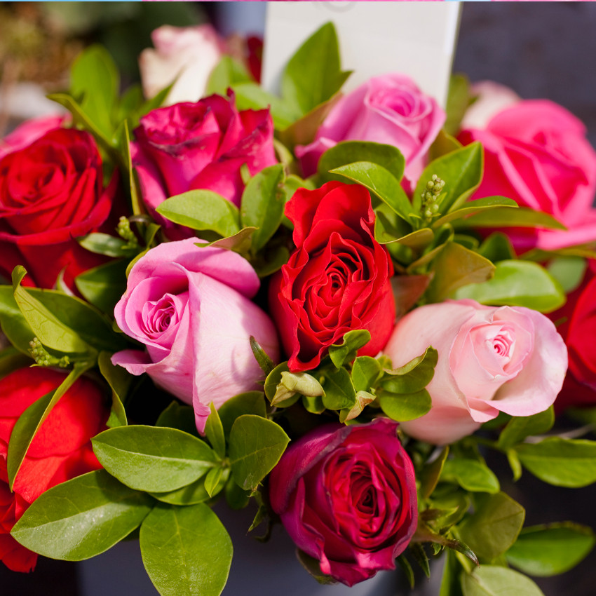 horóscopo das flores -Libra