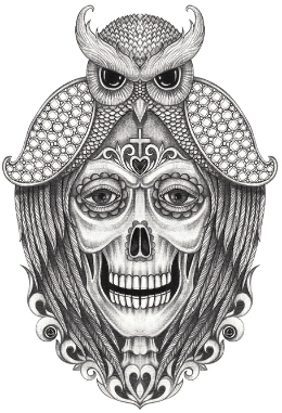 Simbologia da Caveira Mexicana - Coruja com Caveira Mexicana