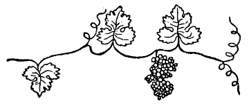 Símbolos de espiritismo - videira