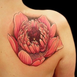 significados das tatuagens - Flor da Anêmona