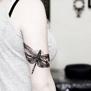 significados das tatuagens - Libélula