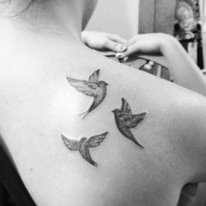 significados das tatuagens - Pomba
