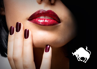 Horóscopo Anual - touro